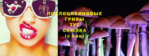 ешки Алзамай
