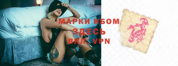 прущие грибы Алексеевка