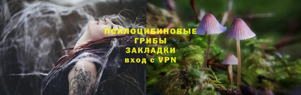 прущие грибы Алексеевка