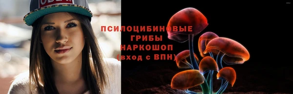 PSILOCYBIN Новодвинск