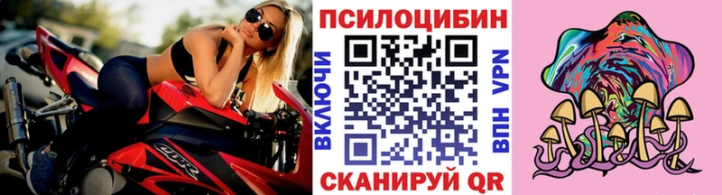 мега tor  darknet официальный сайт  Галлюциногенные грибы Magic Shrooms  Алзамай 